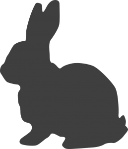 rabbit-312164_1280